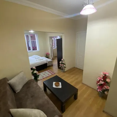 蓝色清真寺公寓酒店 公寓式酒店 伊斯坦布尔