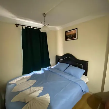 公寓式酒店 蓝色清真寺公寓酒店 伊斯坦布尔